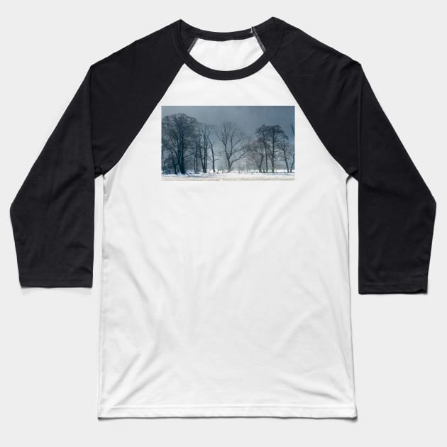 Crisp Frost Baseball T-Shirt by jldunbar